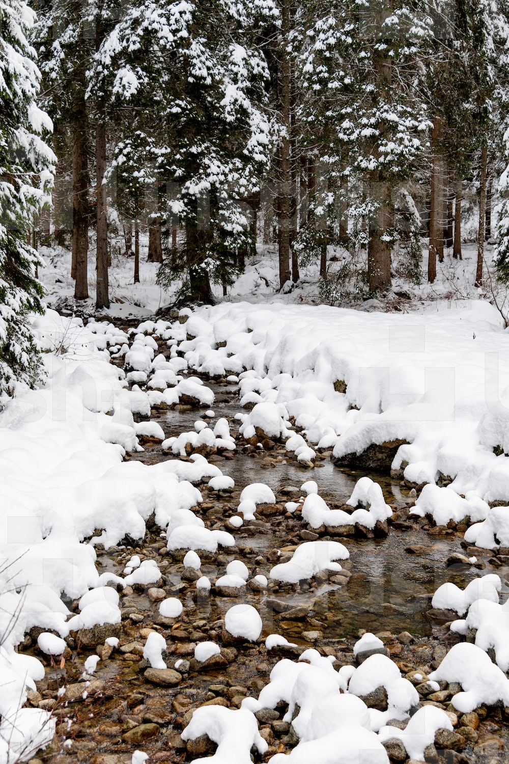 Winter River Picture. Download Free Image