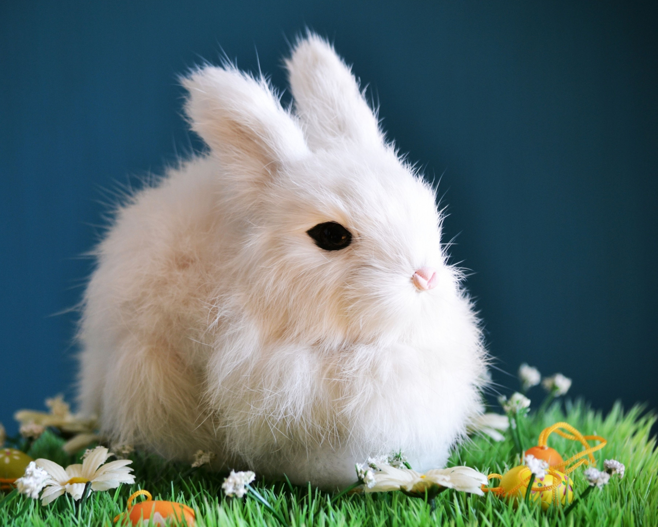 Download wallpaper 1280x1024 cute, white bunny, animal, rabbit, standard 5:4 fullscreen wallpaper, 1280x1024 HD background, 4602
