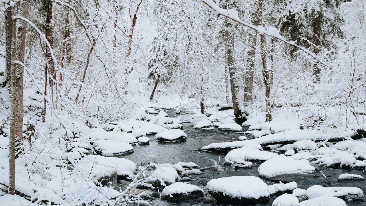 Woods River Winter Wallpapers - Wallpaper Cave