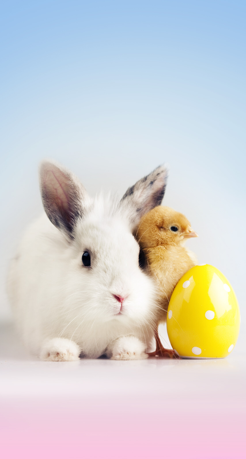 iPhone Wall: Easter tjn. Easter wallpaper, Cute easter picture, Bunny wallpaper