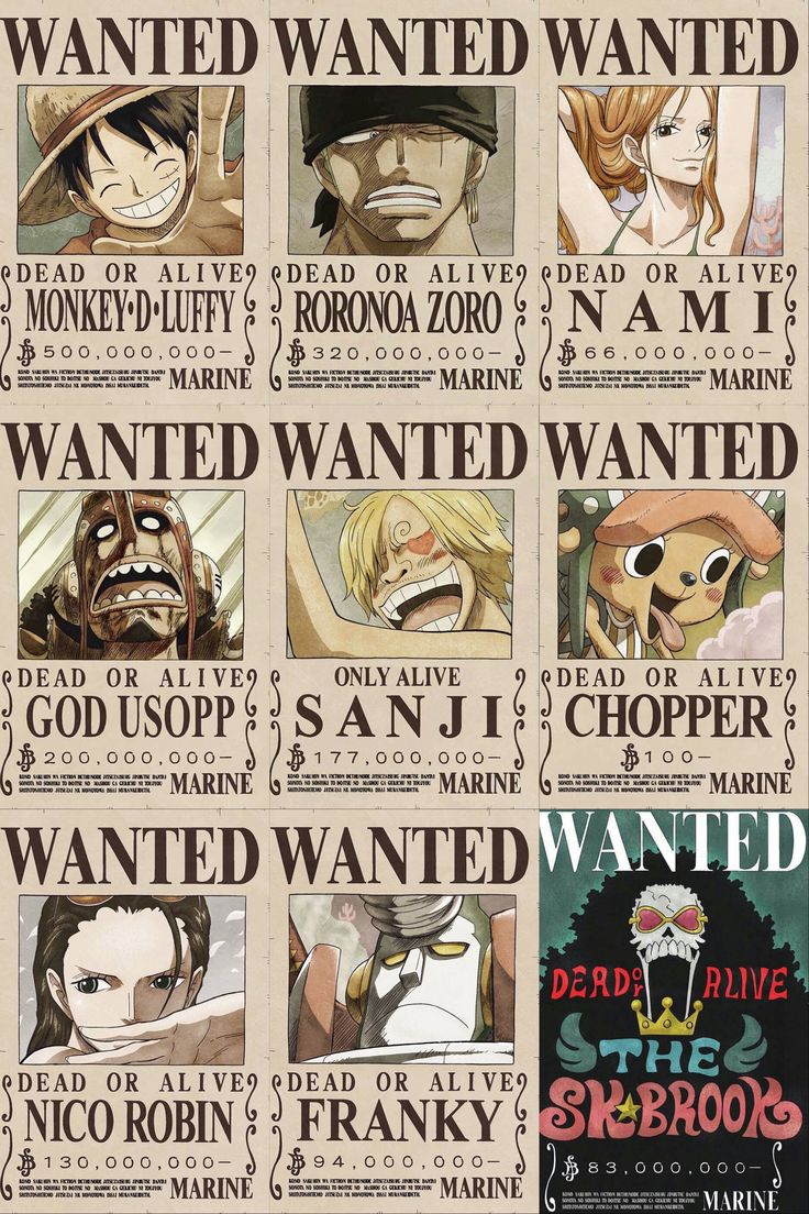 Mugiwara (StrawHats) Wanted Posters. One piece bounties, Manga anime one piece, One piece comic