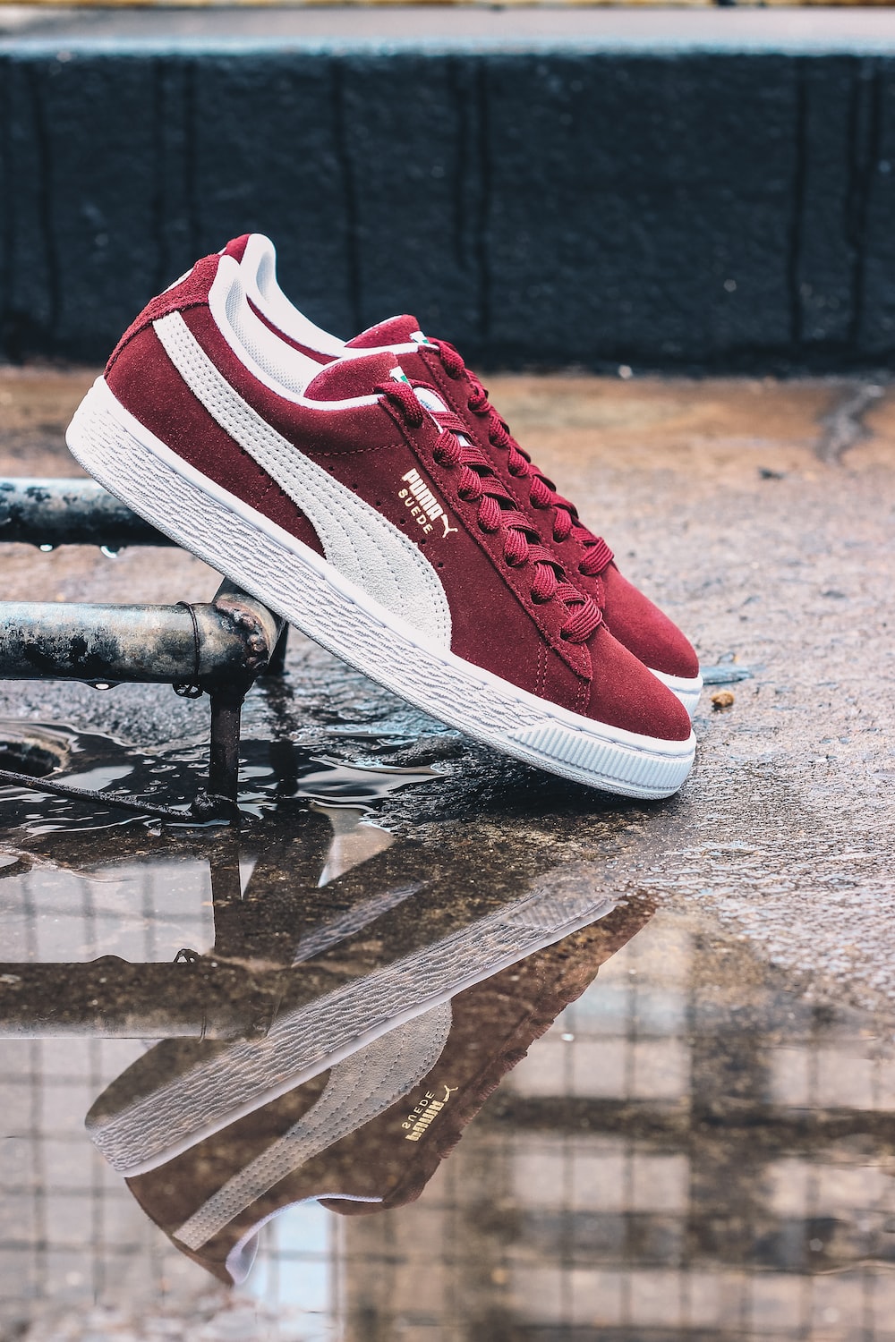 Puma Sneakers Picture. Download Free Image