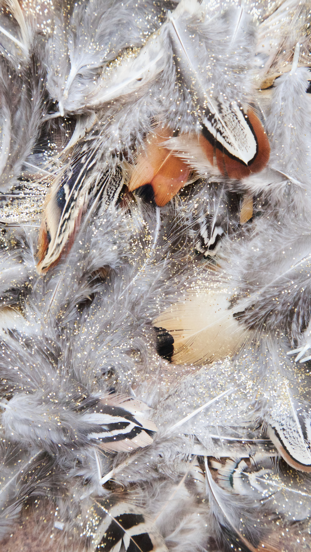 Free Winter Floral Phone Wallpaper • A Winter Treat • Photo Backdrops UK from Capture