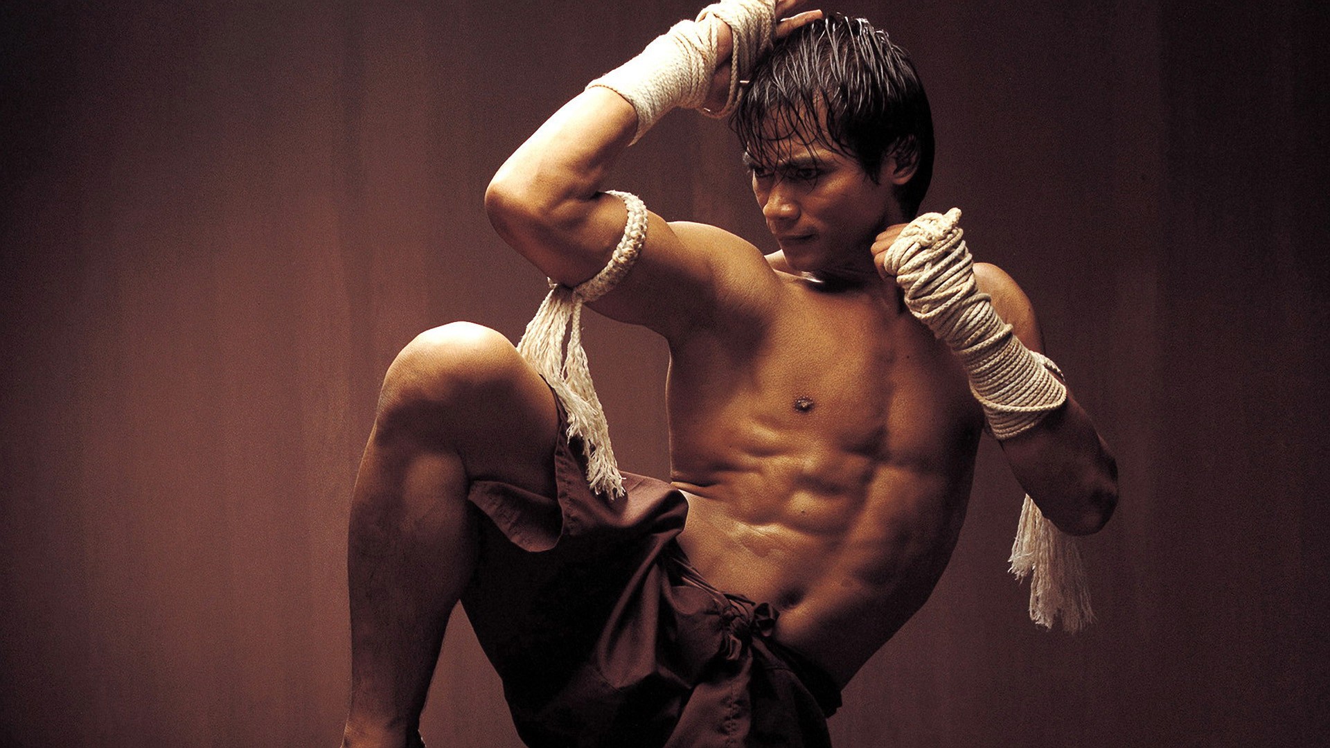 movies, Thailand, Actors, Tony, Jaa, Thai, Muay, Thai, Ong, Bak, Fighters Wallpaper HD / Desktop and Mobile Background