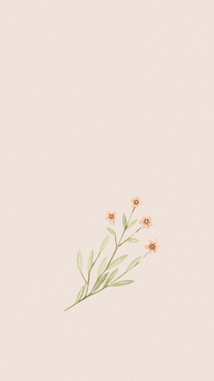 Flower Wallpaper Background. Cute flower wallpaper, Phone wallpaper boho, Simple iphone wallpaper