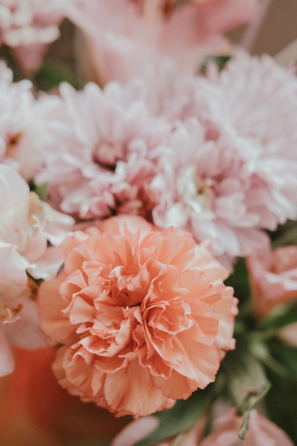 Boho Flowers Picture. Download Free Image