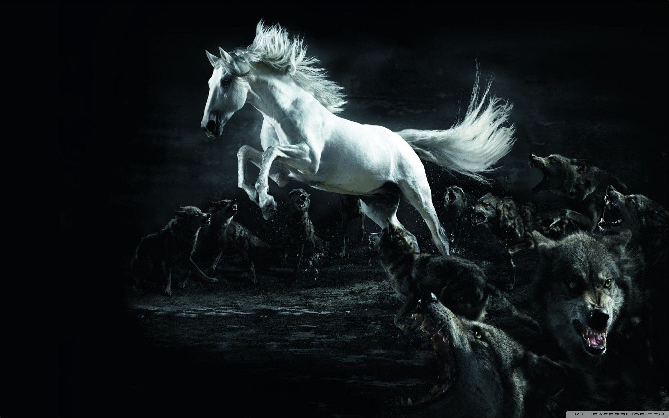 Horse and Wolf Wallpaper
