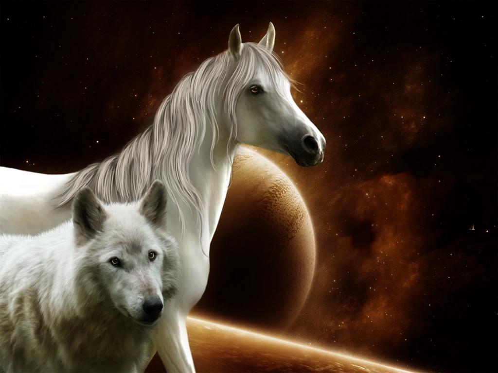 White Wolf Quotes. QuotesGram