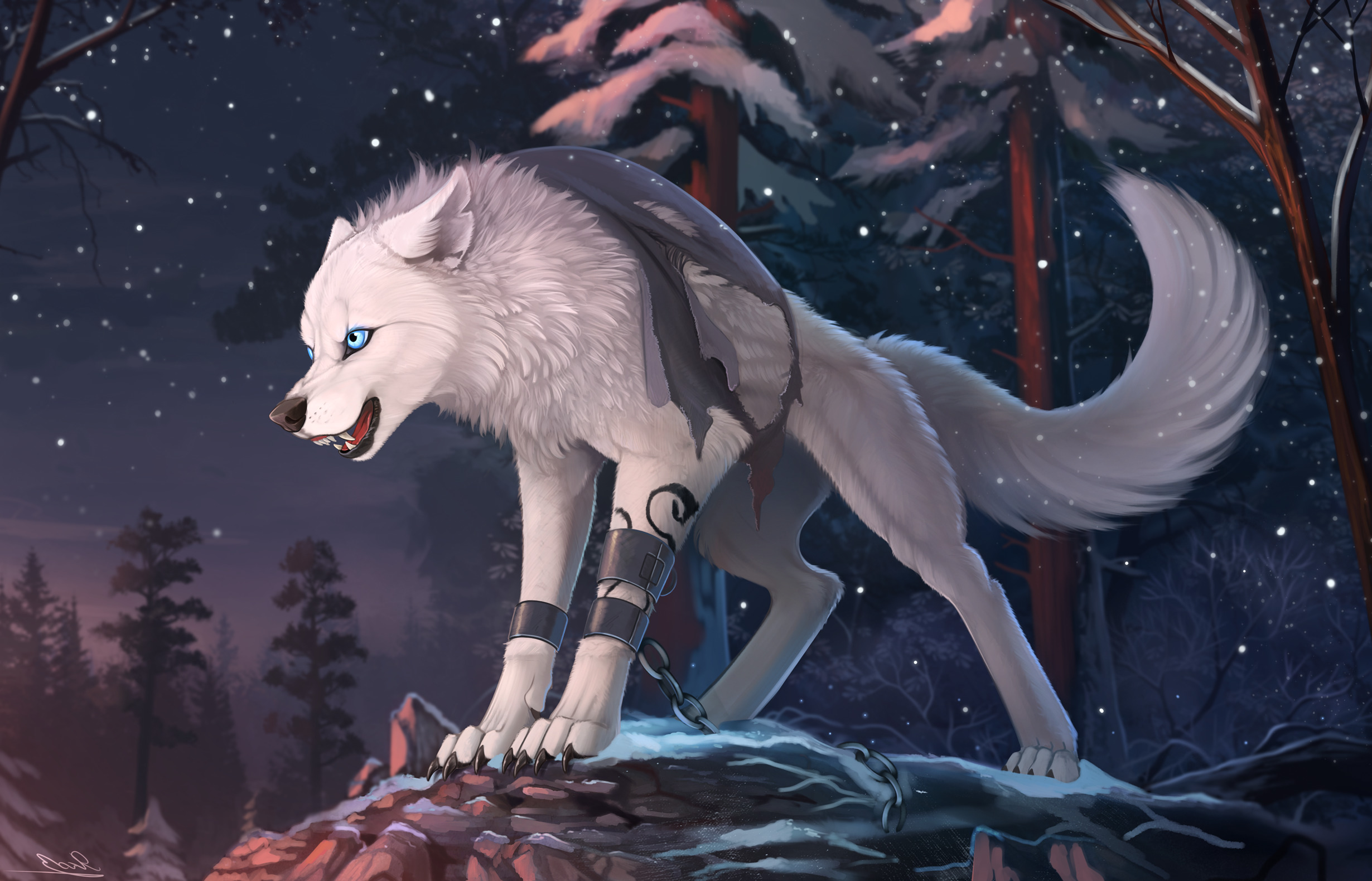 furry, Wolf, Animals Wallpaper HD / Desktop and Mobile Background