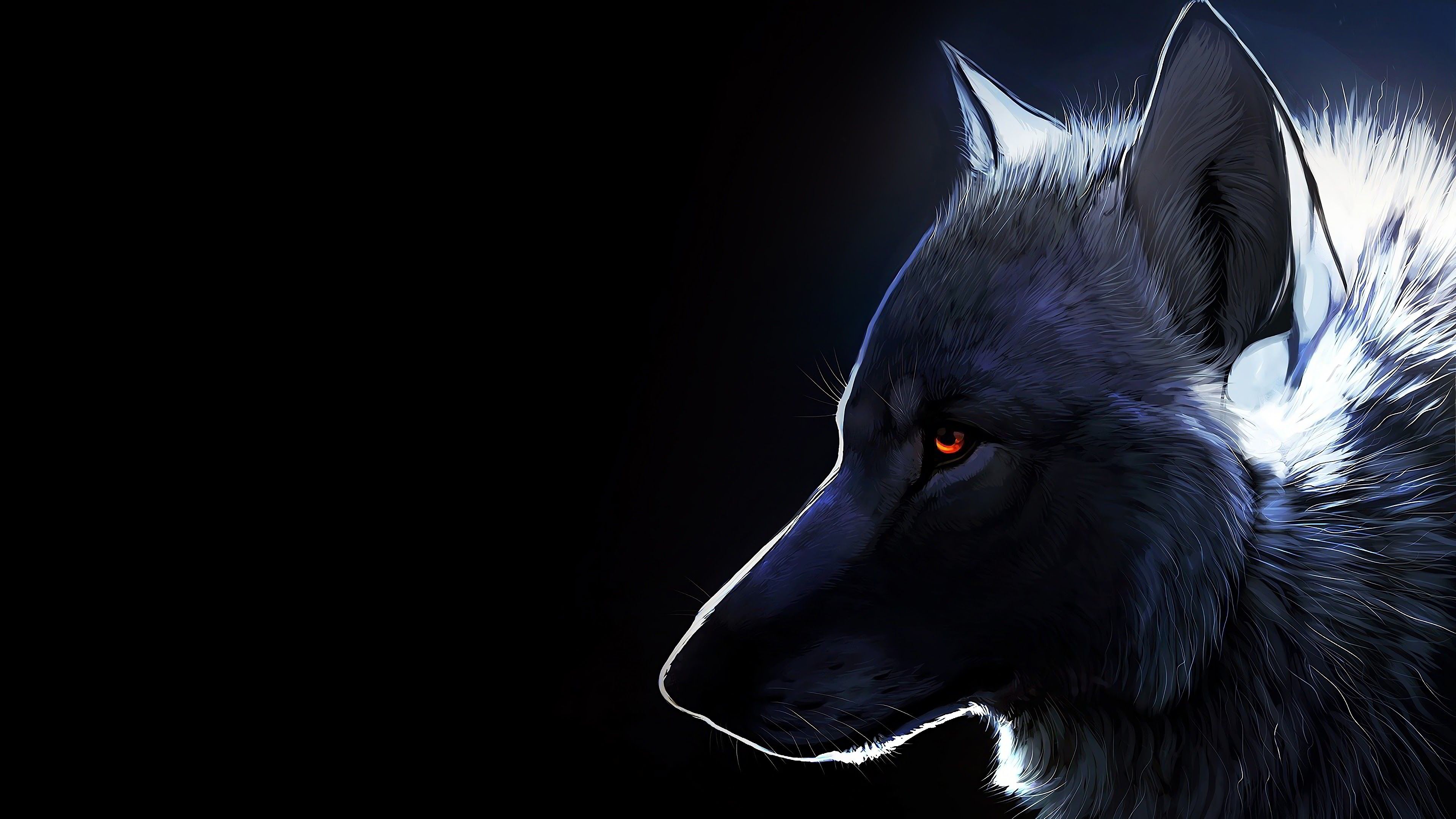 Wolf Background HD Free download