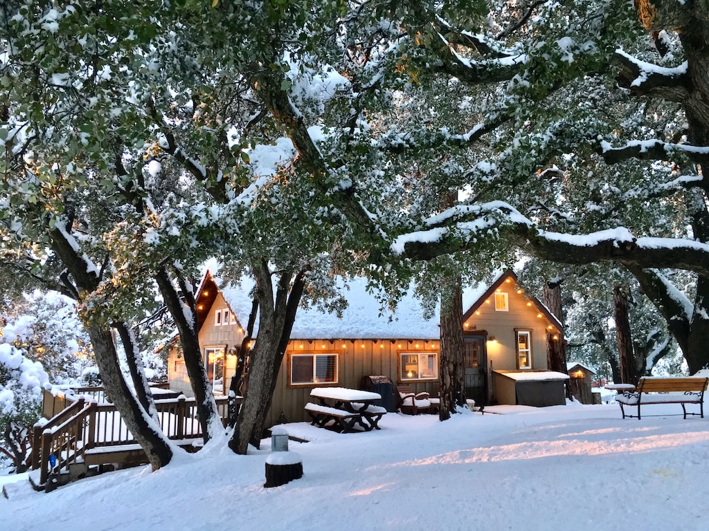 Cozy Oaks Cabin Peaceful Mountain Getaway, Charming & Romantic! Trail Pass