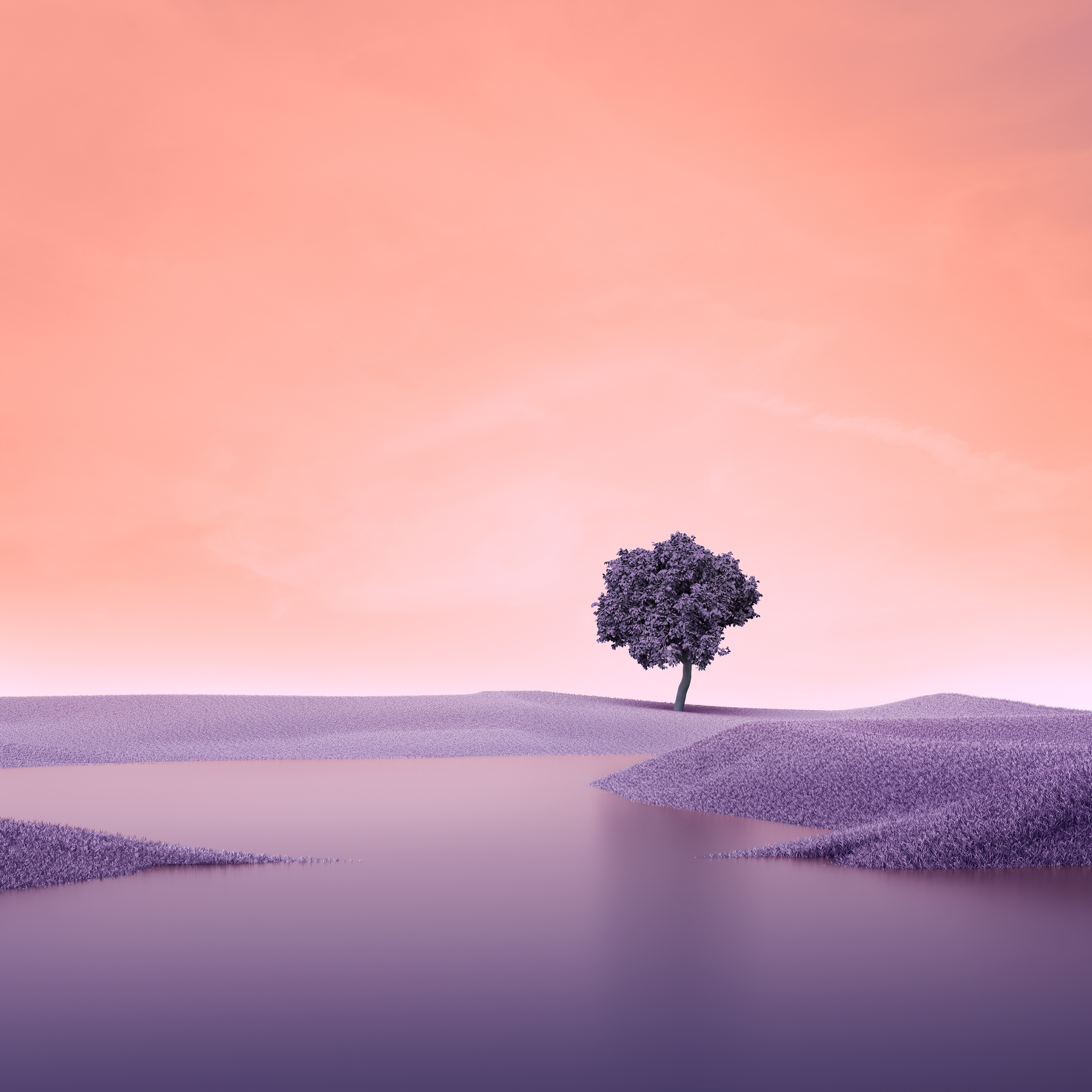 Lone tree Wallpaper 4K, Landscape, Spring, Lake, Nature