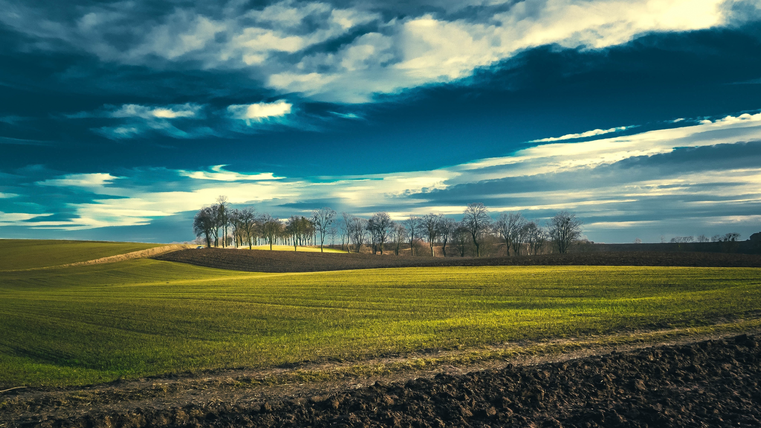 Download wallpaper 2560x1440 field, landscape, spring, blue sky, sunny day, dual wide 16:9 2560x1440 HD background, 10582
