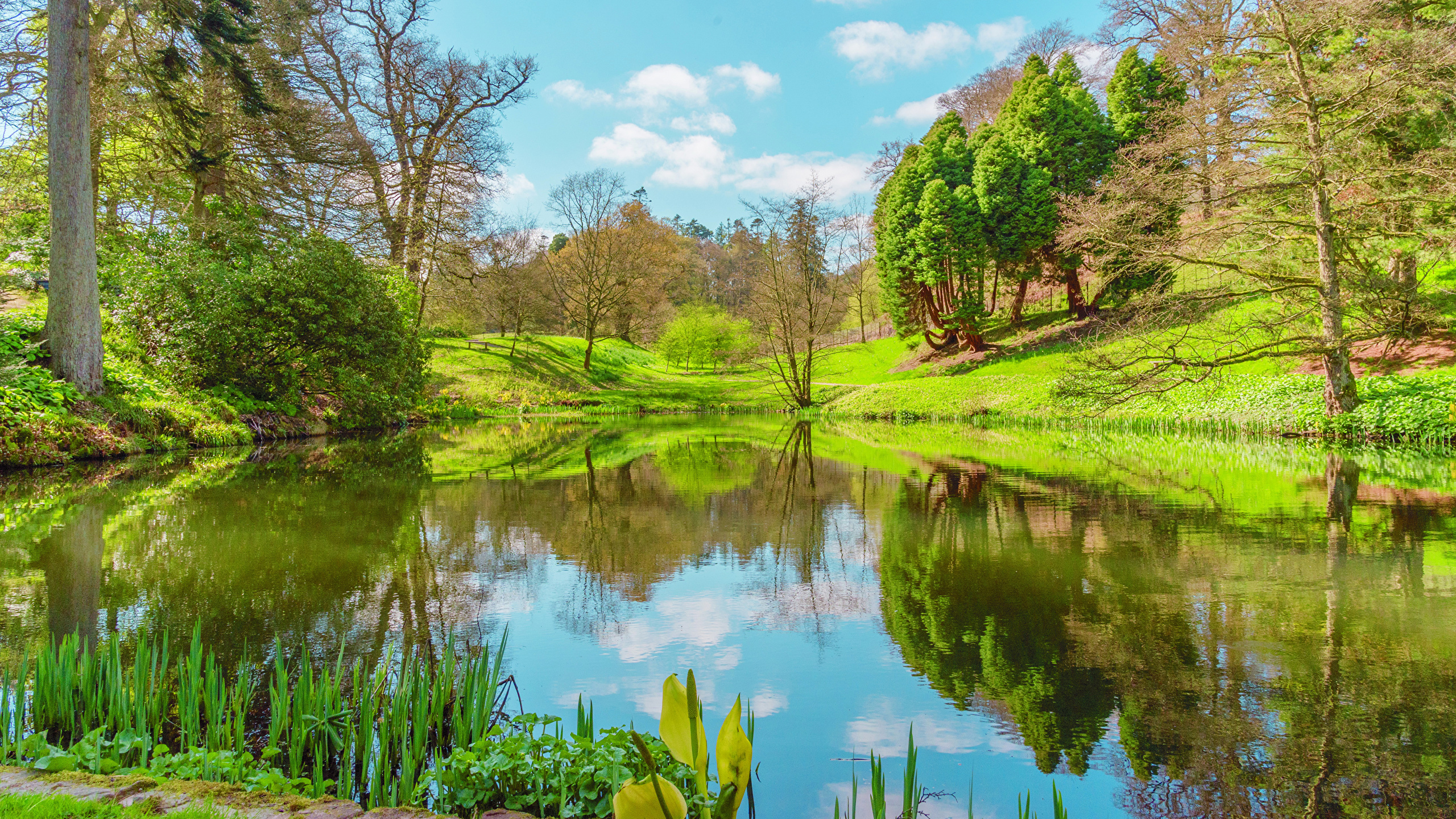 Image Nature United Kingdom Powys County Wales Spring Lake 2560x1440