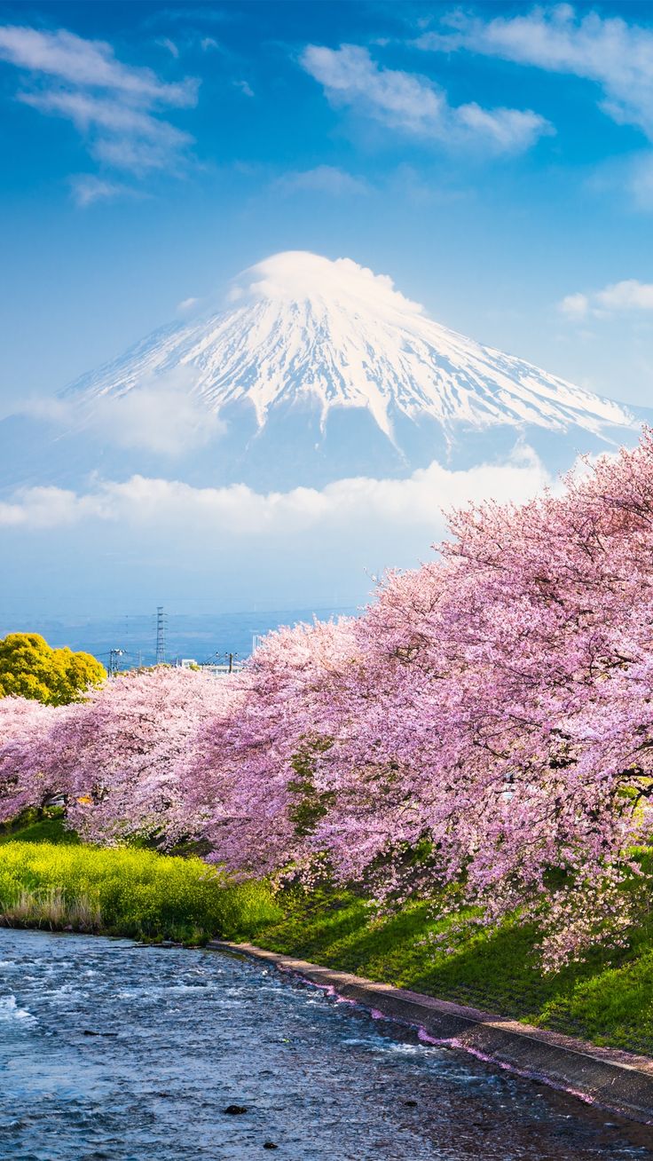 Spring wallpaper. Japan landscape, Nature picture, Beautiful nature picture