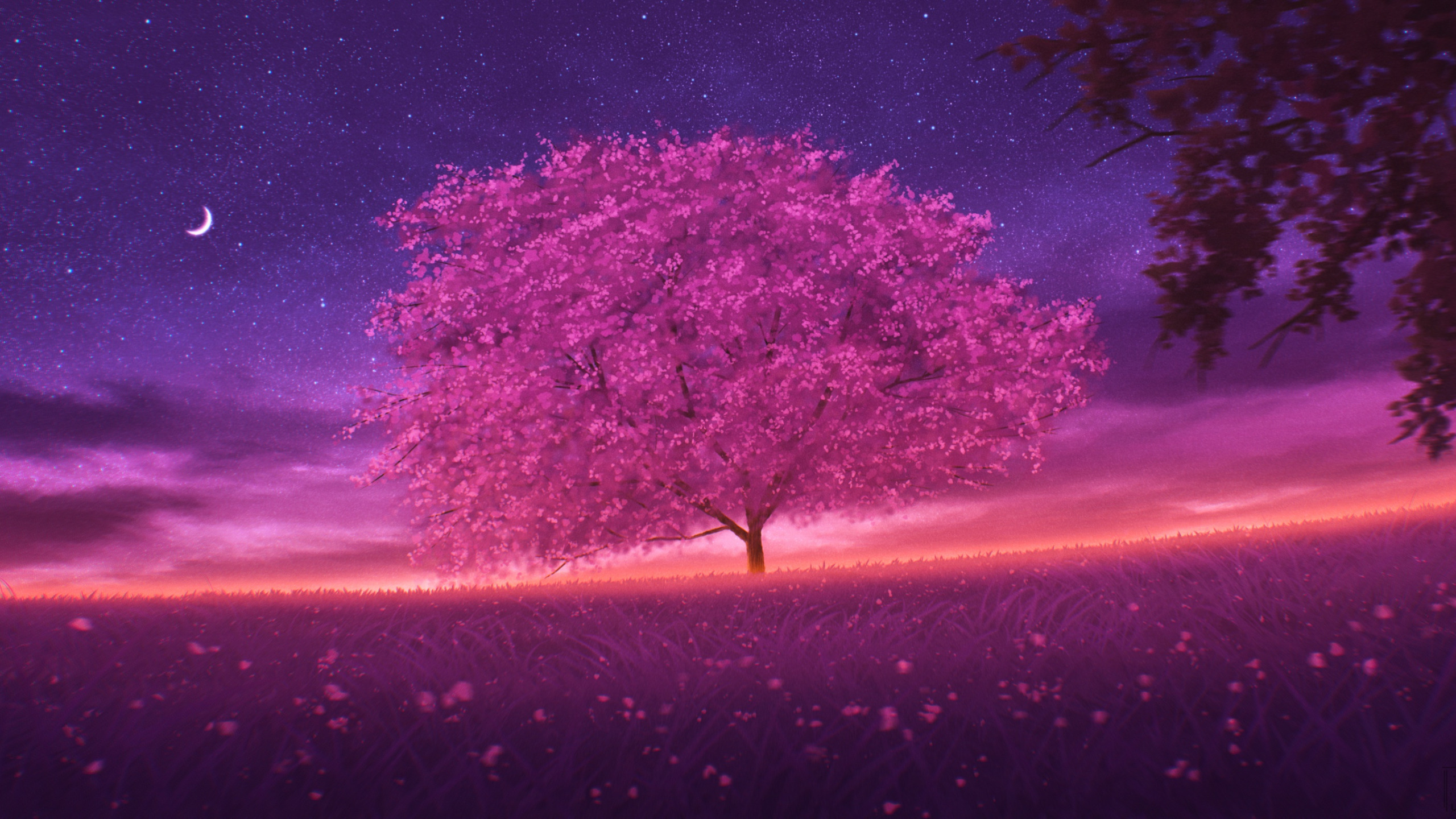 Download wallpaper the sky, night, spring, Sakura, cvetenie, section art in resolution 2560x1440