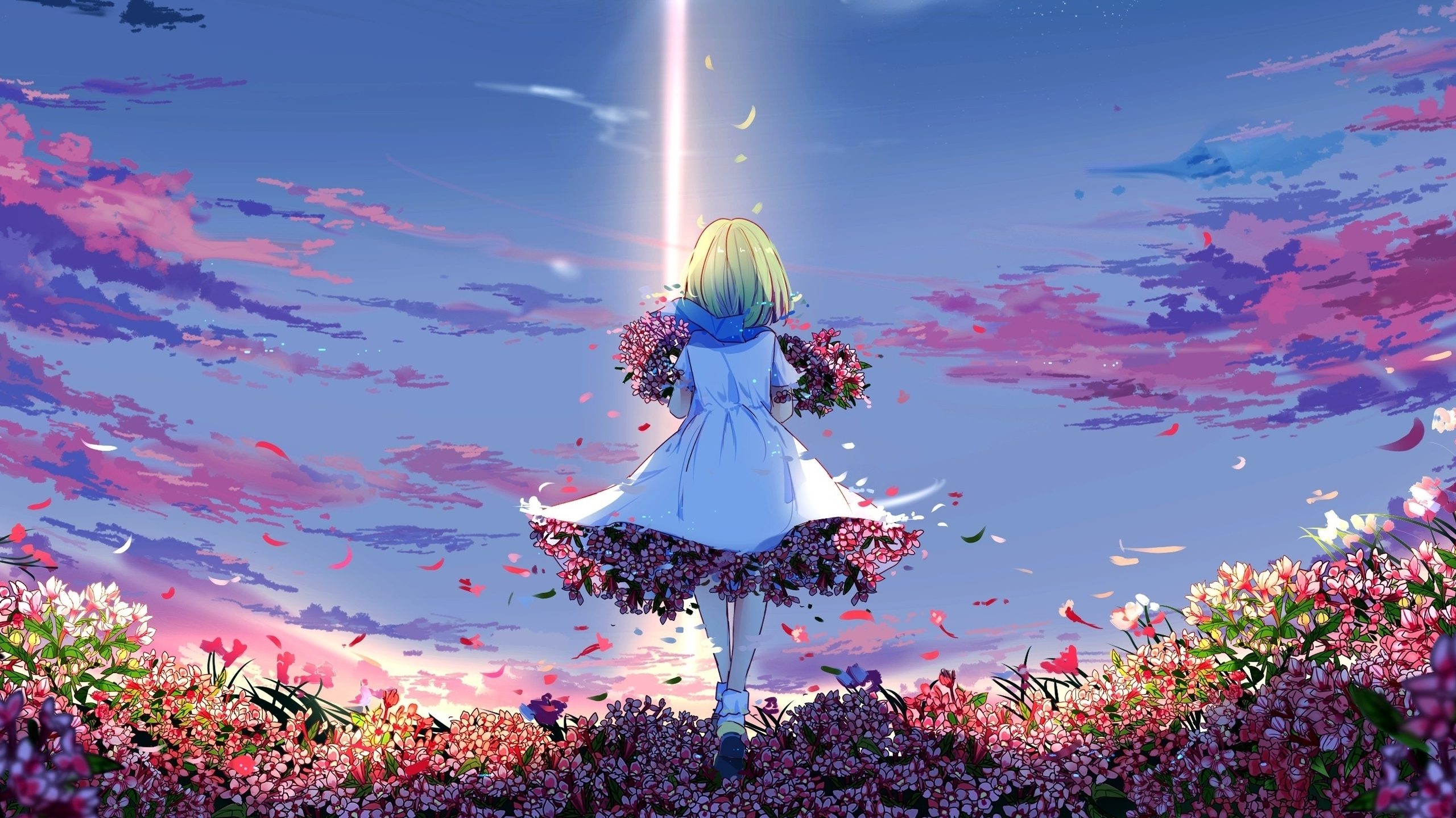 Download wallpaper 2560x1440 anime girl, spring, meadow, flowers, girly, dual wide 16:9 2560x1440 HD background, 23153