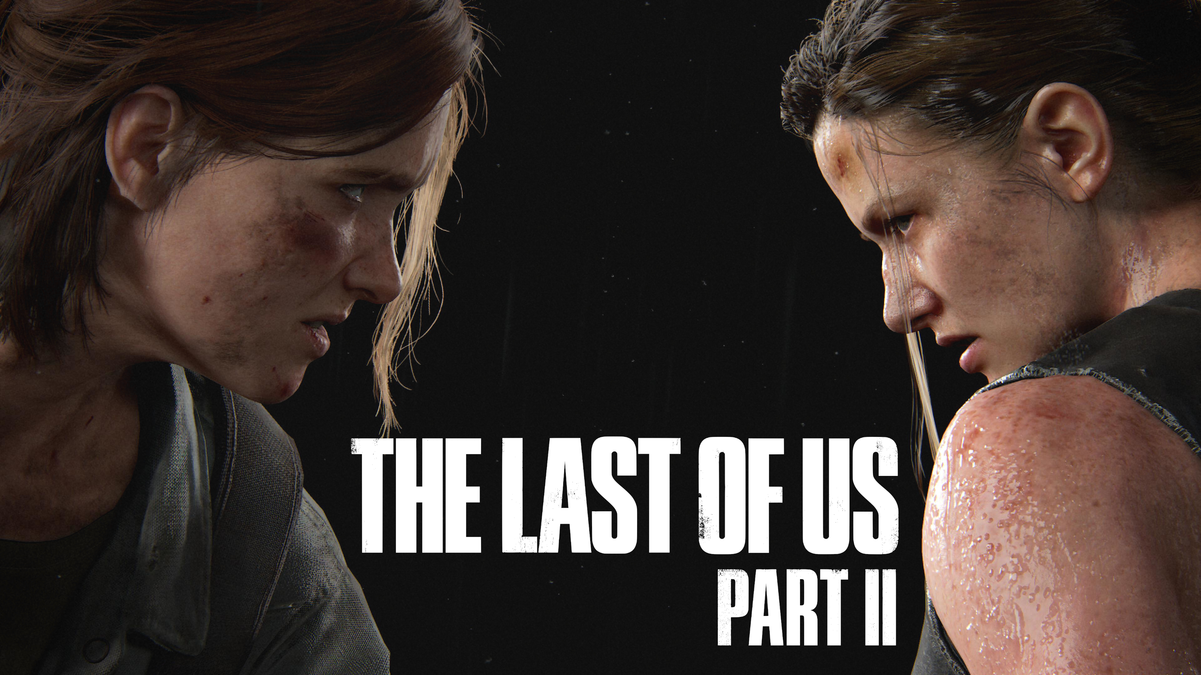 The Last of Us 2 Wallpaper created