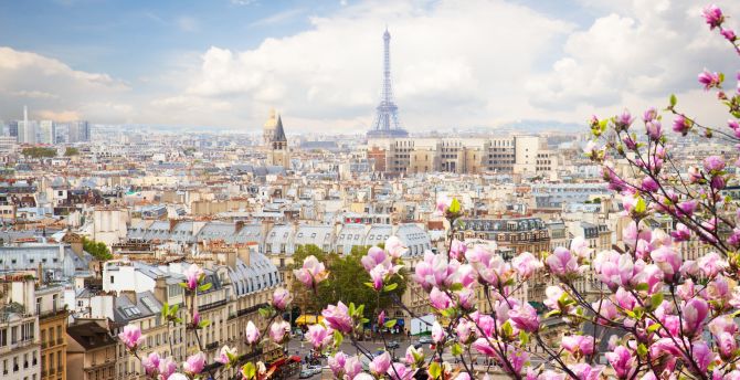 Wallpaper eiffel tower, paris, france, flowers, beautiful blossom desktop wallpaper, HD image, picture, background, 8beb18