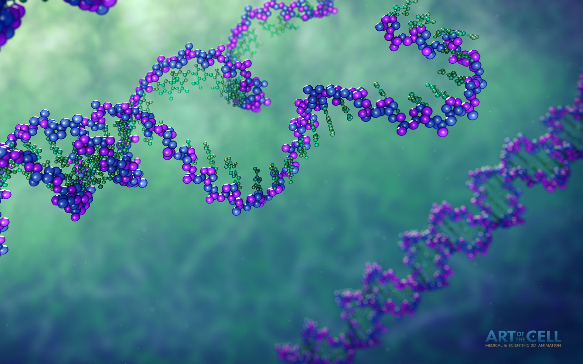 Transcription Wallpaper