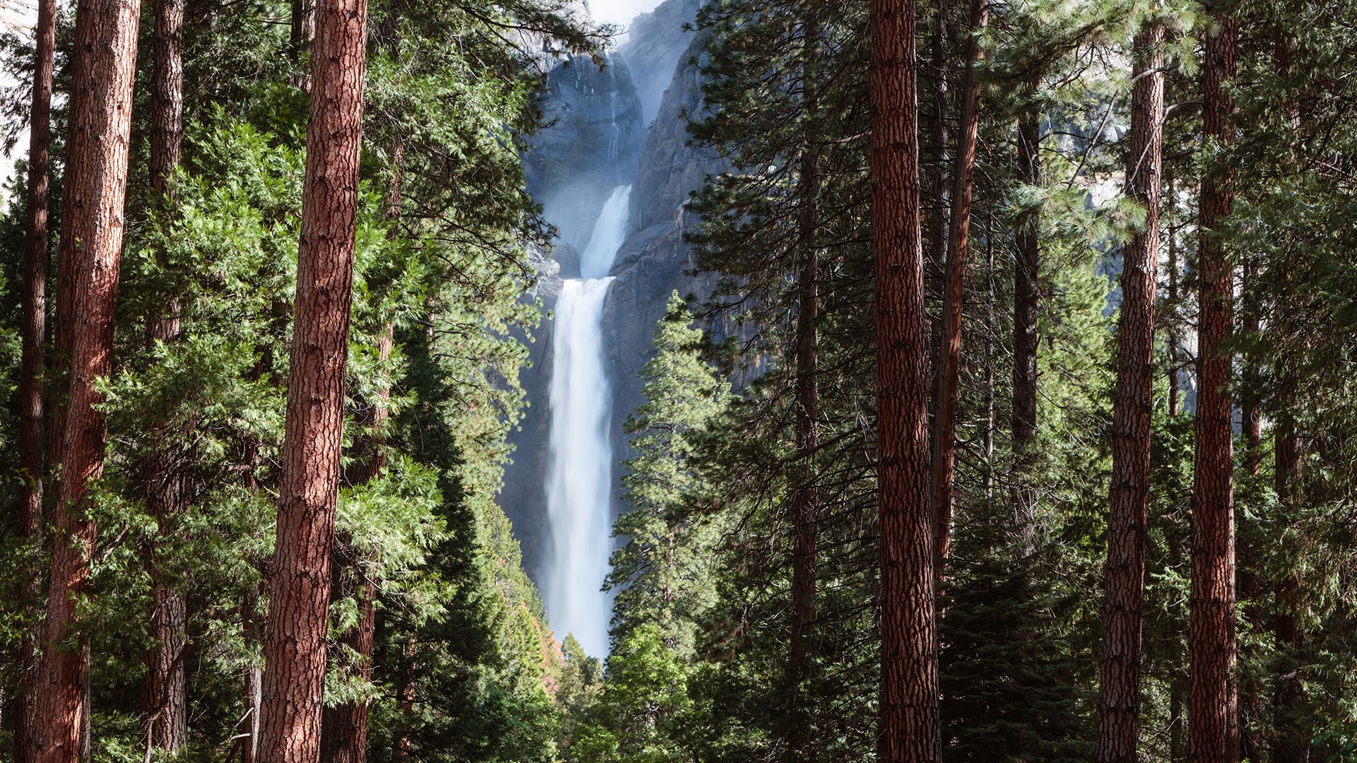 Wallpaper, nature, waterfall, trees, water, mountains, Yosemite Falls, Yosemite National Park, California, USA 1920x1080