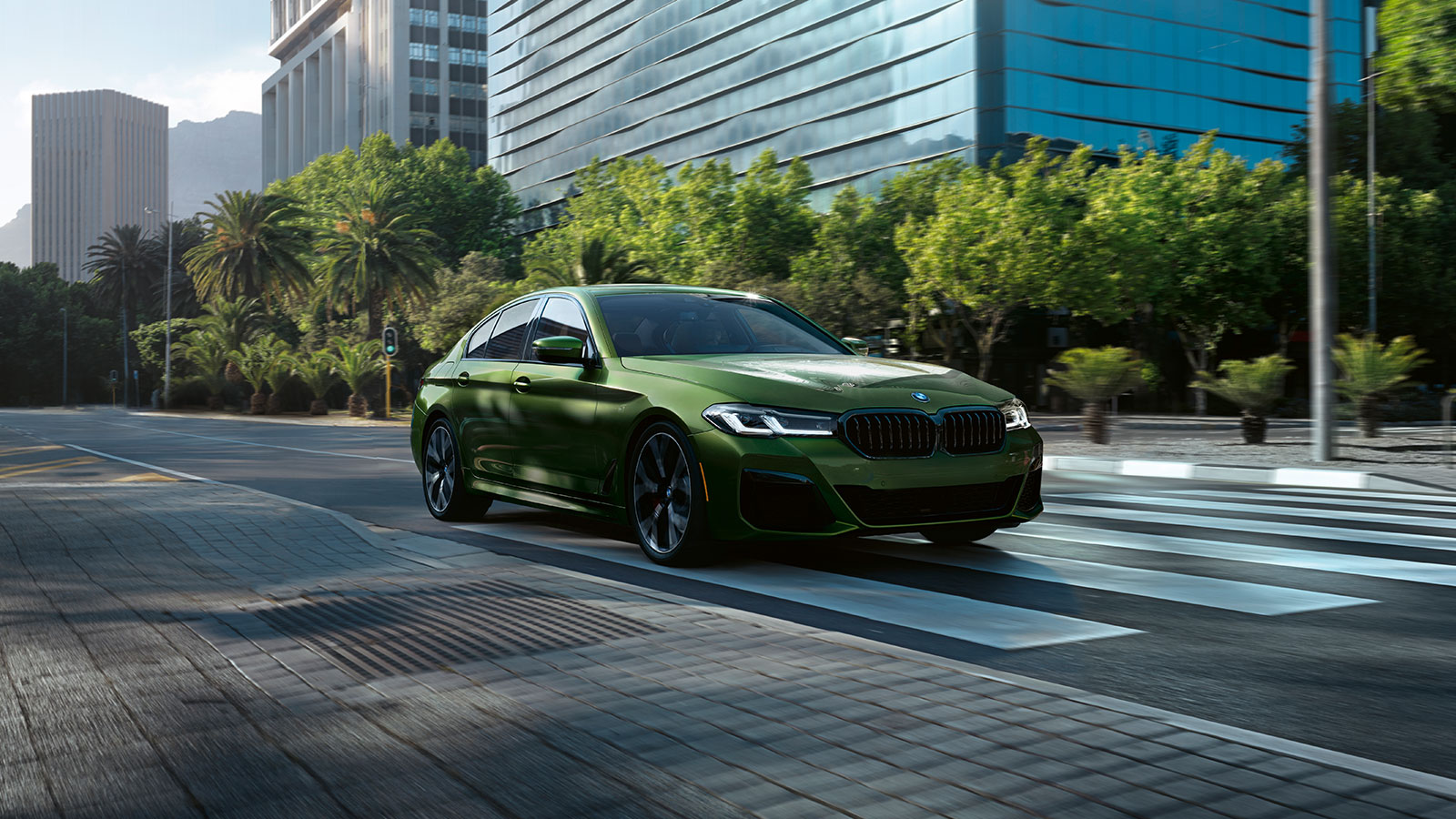 Series Executive Sedan Gallery