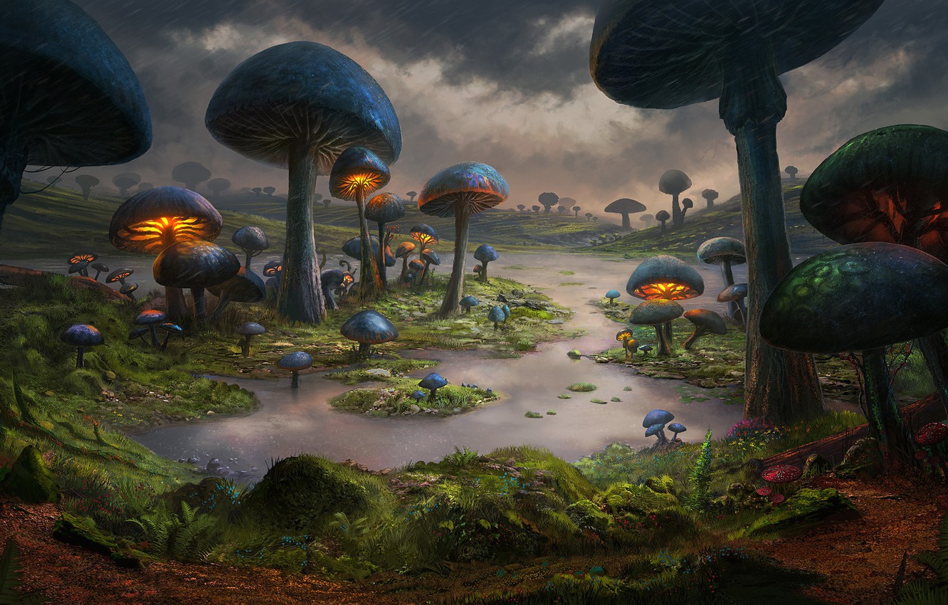 Fantasy Mushroom  Desktop Nexus Wallpapers  Fantasy landscape Fantasy  Spring wallpaper