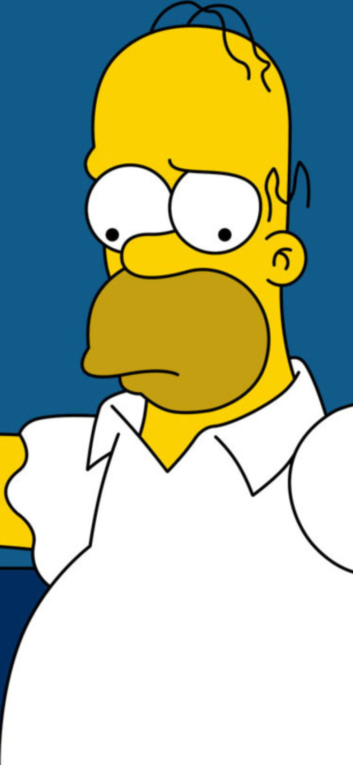 Homer Simpson Wallpaper for iPhone 12 Pro