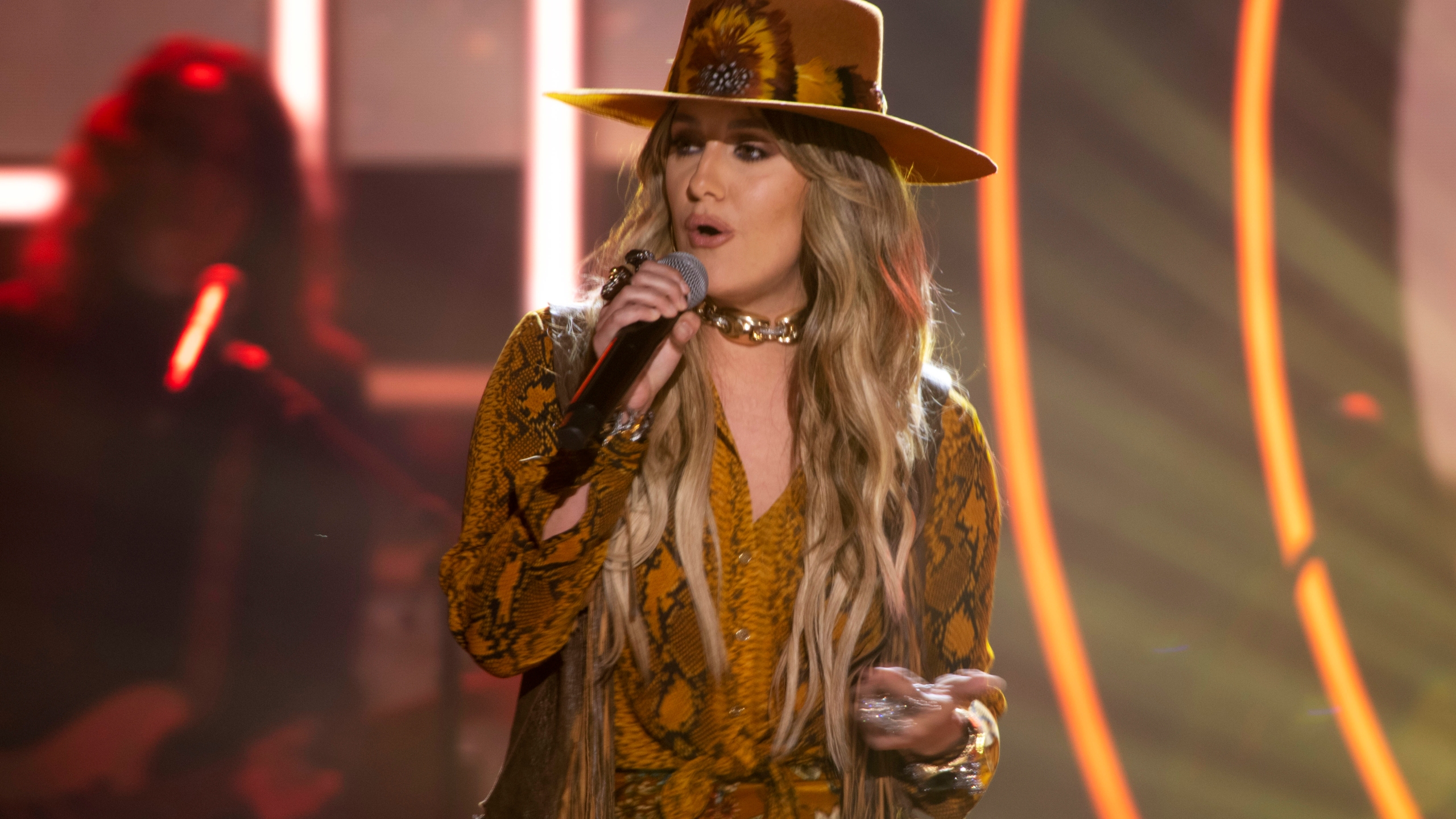 Fan favorite Lainey Wilson leads CMT Music Awards nominees  YourBigSkycom