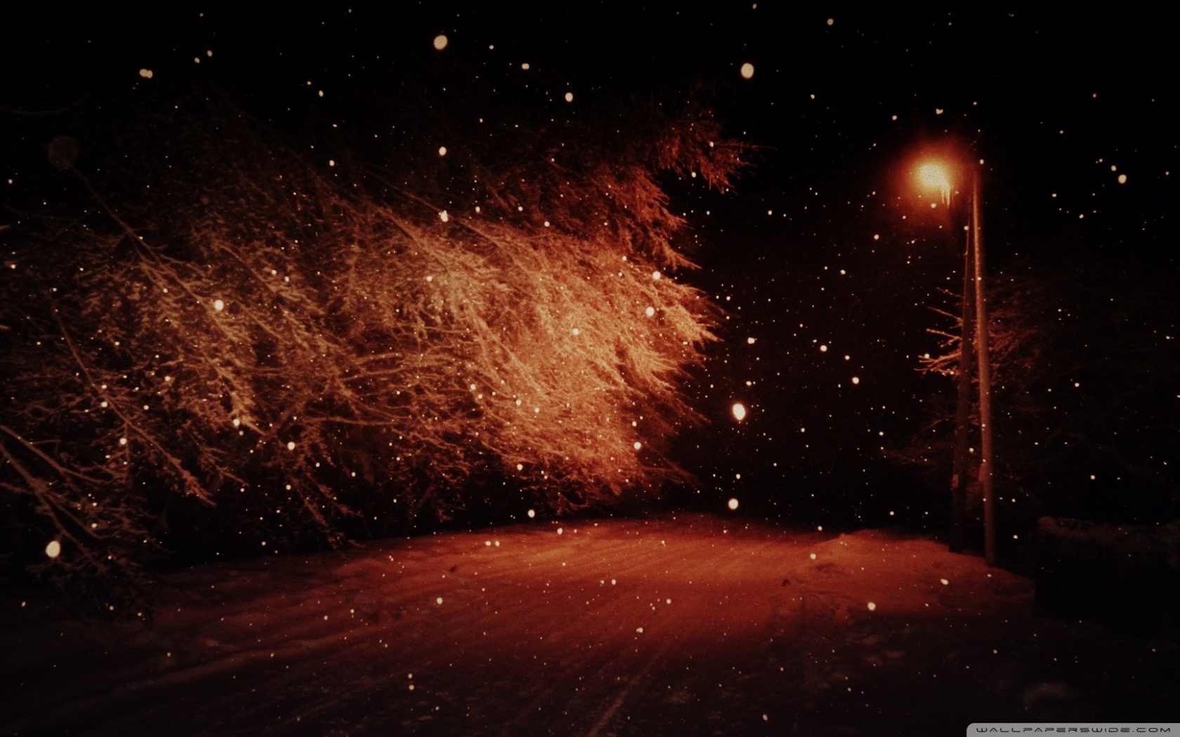 Dark Winter Night Ultra HD Desktop Background Wallpaper for 4K UHD TV, Widescreen & UltraWide Desktop & Laptop, Tablet