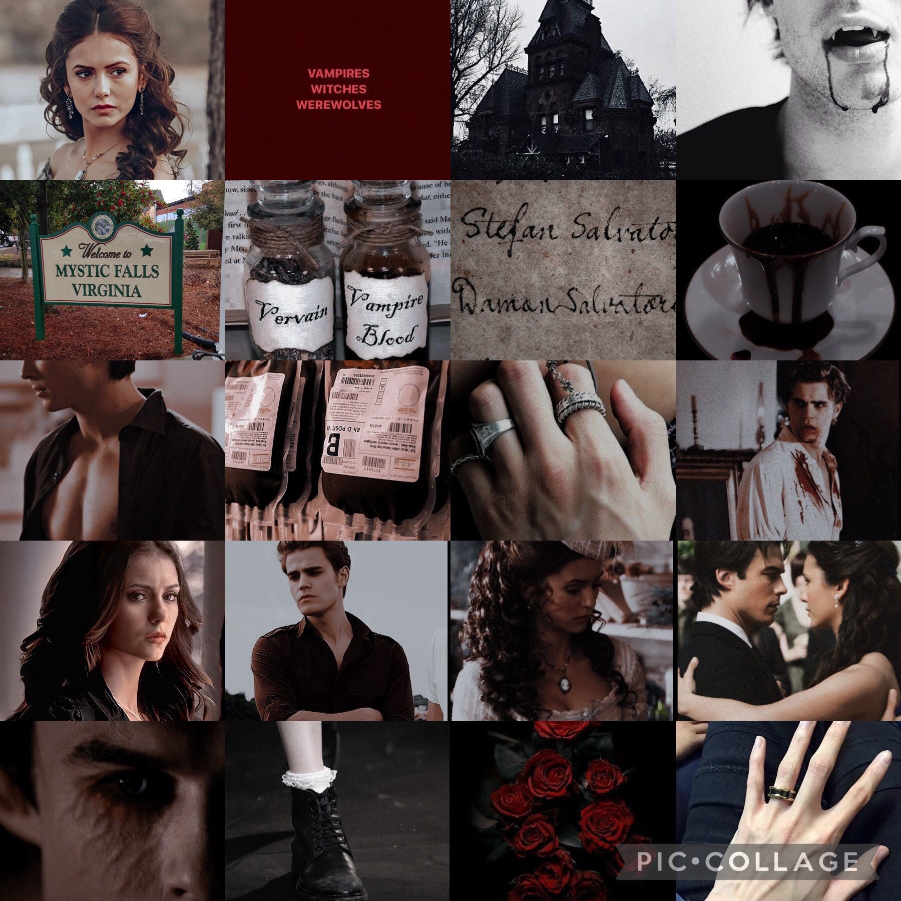 DARK Vampire/ Vampire Diaries Aesthetic Photo Wall Digital