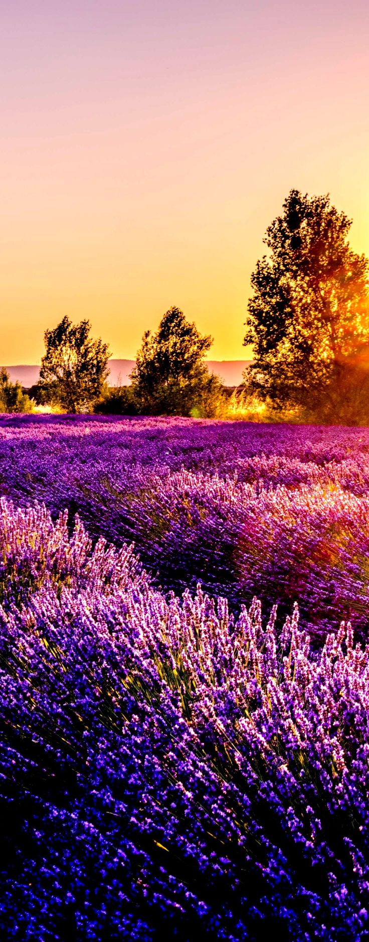 Best Things To Do In France You Must Not Miss!. iPhone wallpaper landscape, Nature wallpaper, France wallpaper