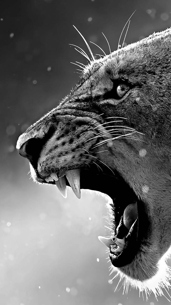 Free download Download Puma White Wallpaper by OmbladoNGFX dc Free [720x1280] for your Desktop, Mobile & Tablet. Explore Puma Phone Wallpaper. Puma Wallpaper, Puma Logo Wallpaper, Spurs Phone Wallpaper