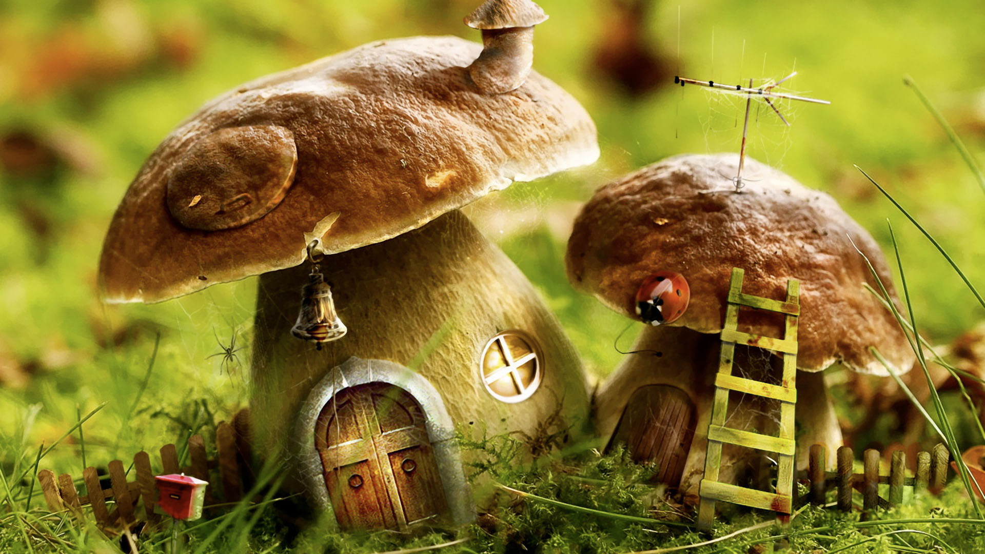 Mushrooms Wallpaper
