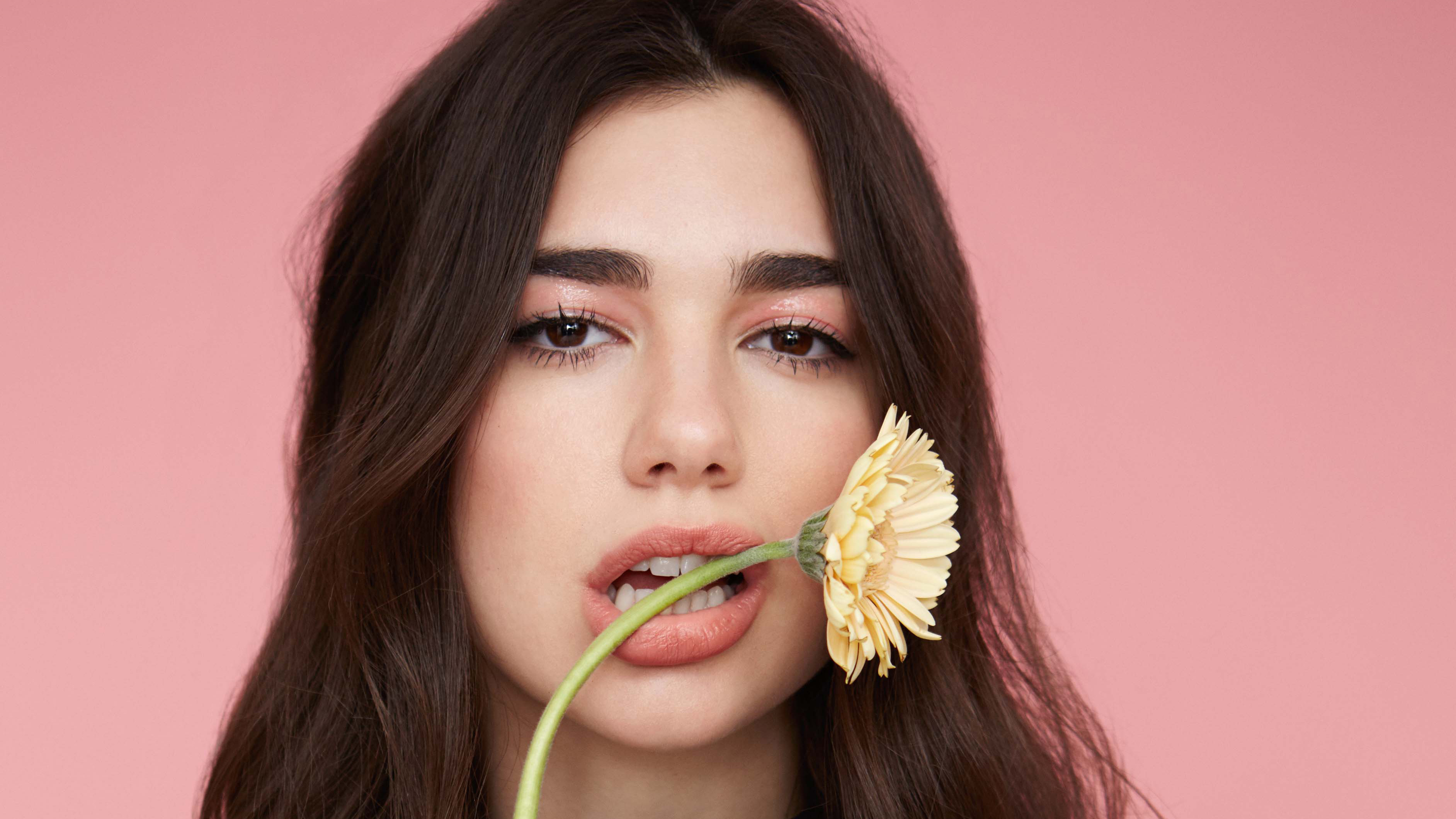 HD desktop wallpaper: Music, Flower, Dua Lipa download free picture