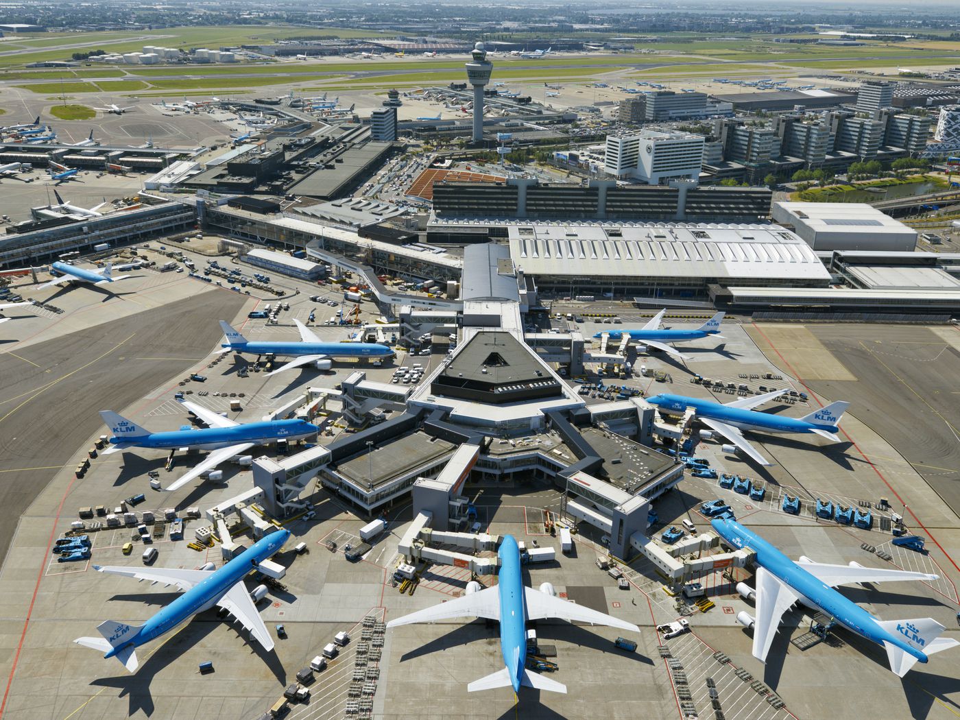 Schiphol Airport's savvy design shows flying can actually be enjoyable