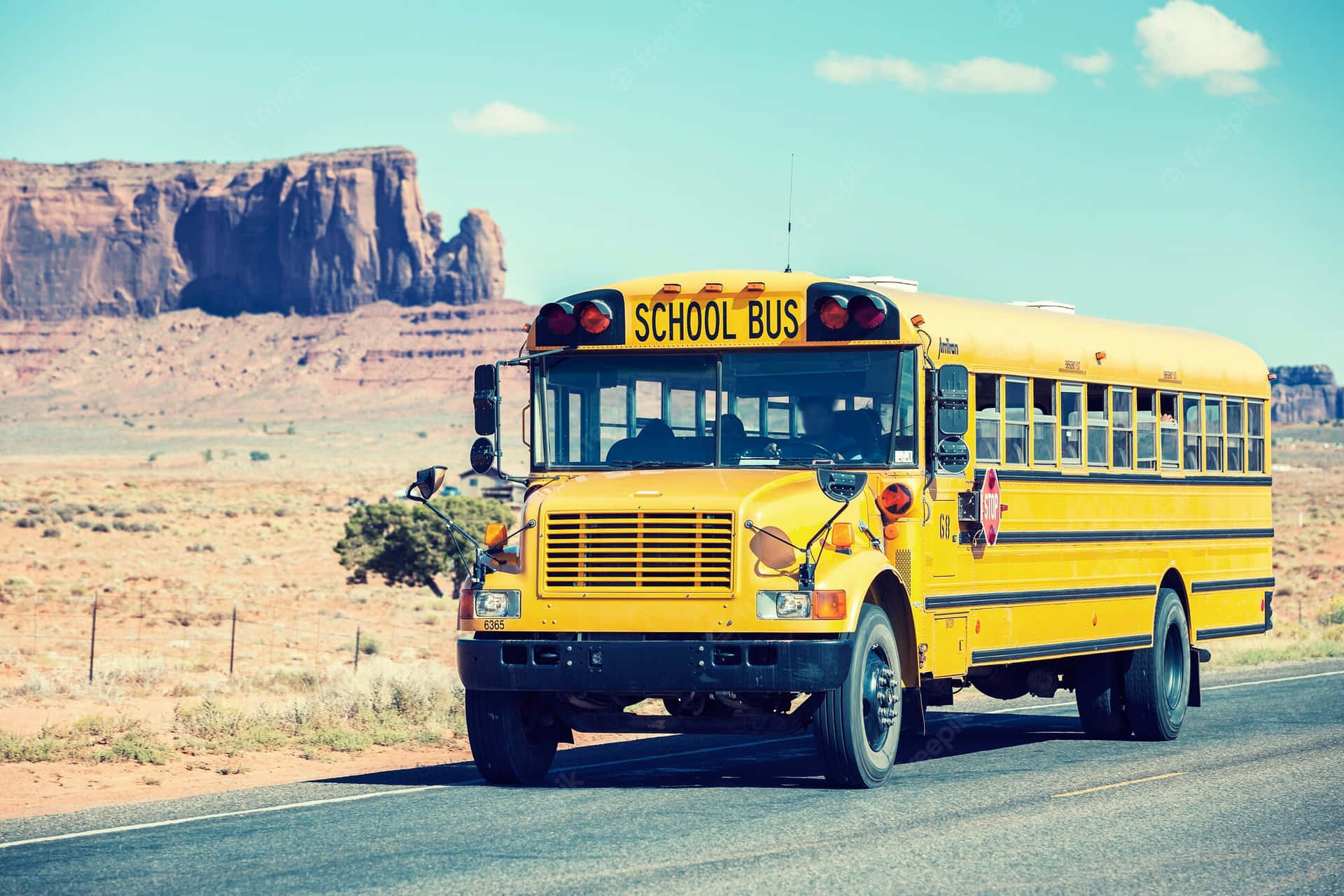 Free School Bus Picture, School Bus Picture for FREE