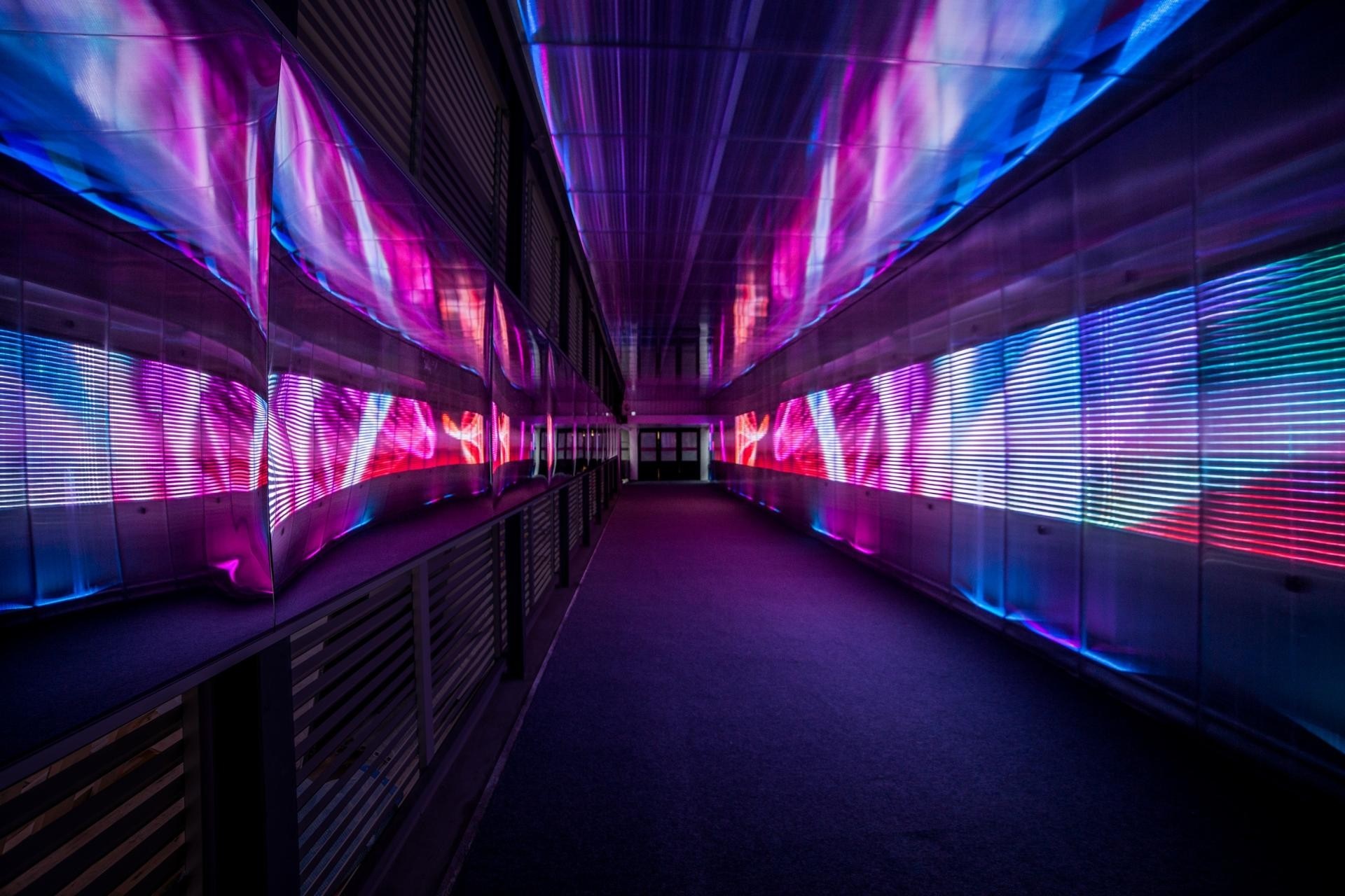 neon, disco, light, stage, nightclub Gallery HD Wallpaper