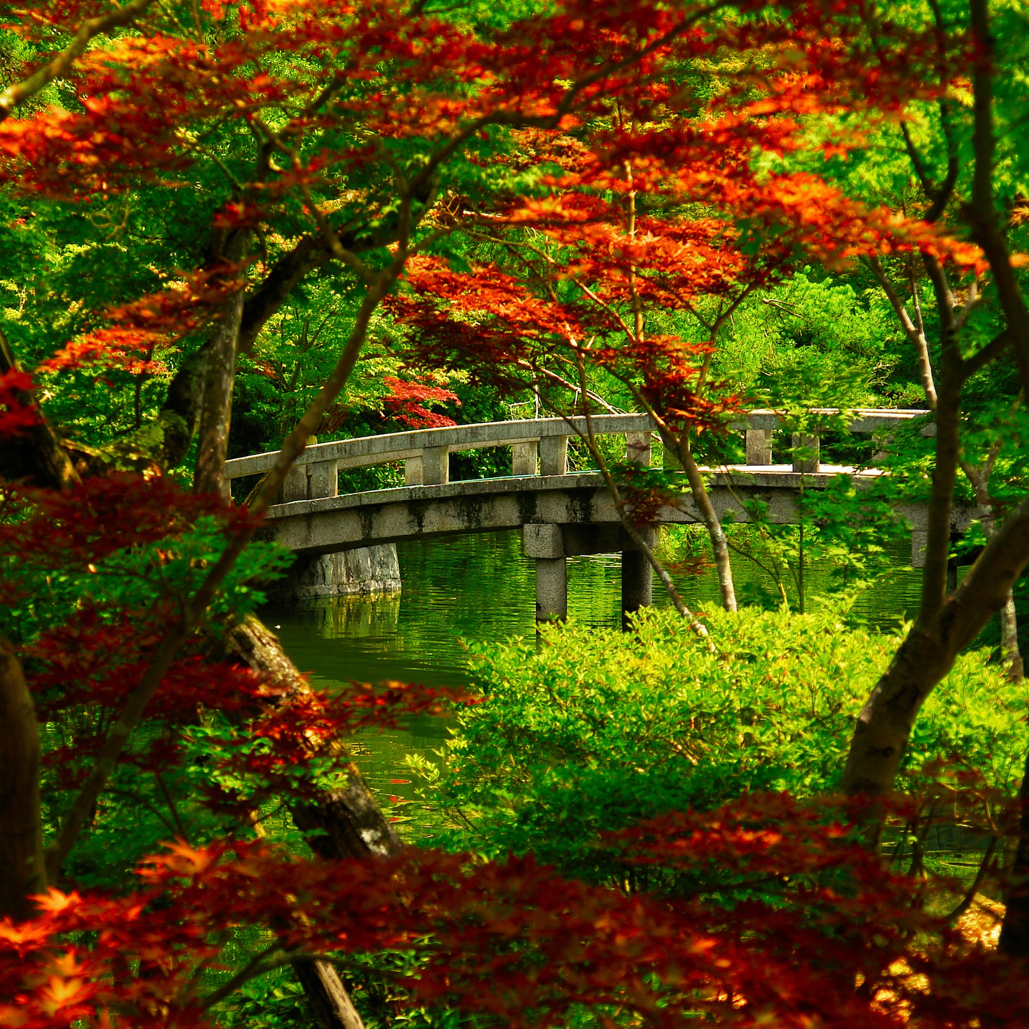 Japanese Garden Wallpaper for iPhone 11, Pro Max, X, 8, 7, 6