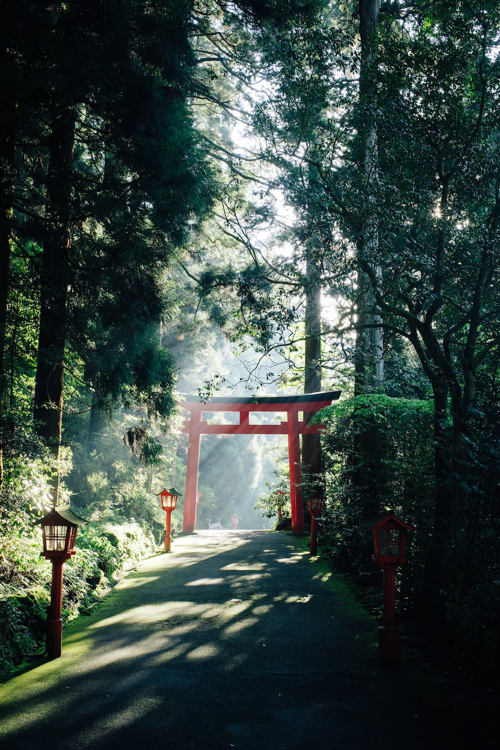 Japanese Wallpaper: Free HD Download [HQ]