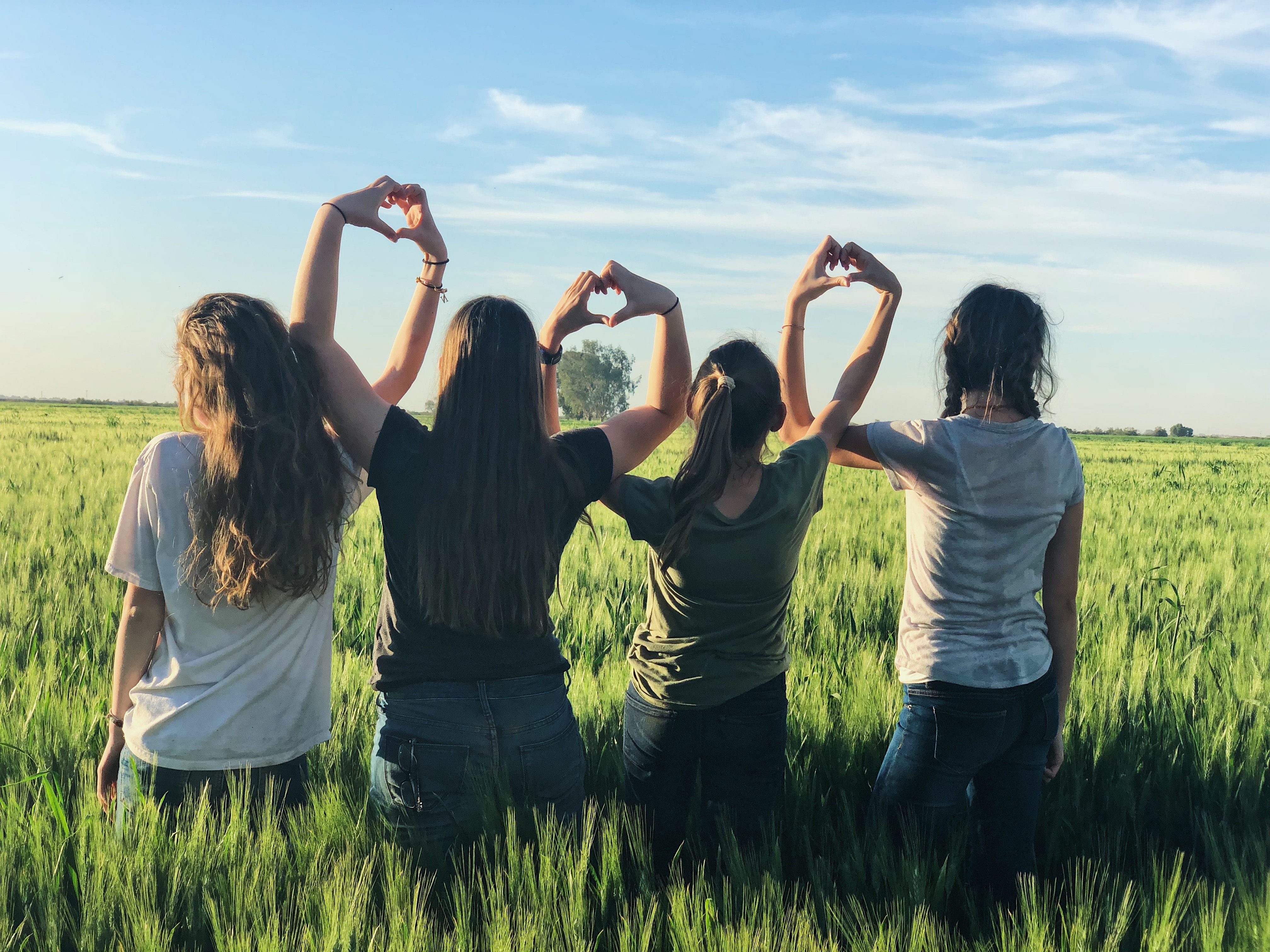 4032x3024 field, landscape, nature, group, hold, arms crossed, arms raised, back, PNG image, arm, heart, hand, support, teen, horizon, friends, together, friend, people, four, pose Gallery HD Wallpaper
