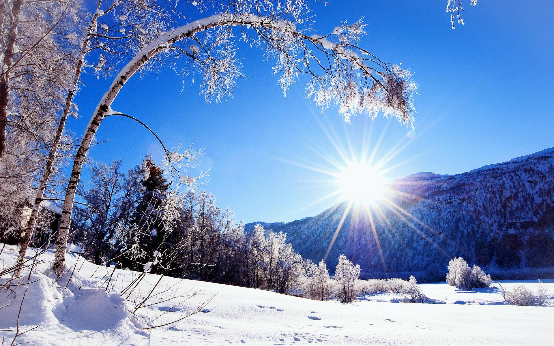 Download Beautiful Bright Sun Winter Scenery Wallpaper