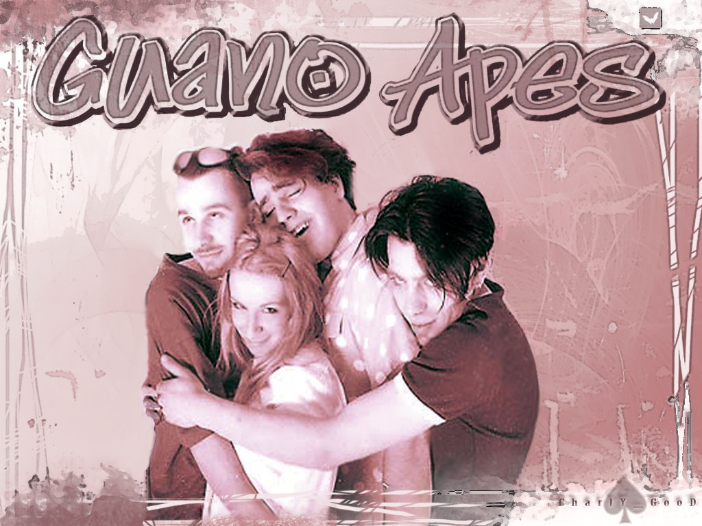 Guano Apes Apes Wallpaper
