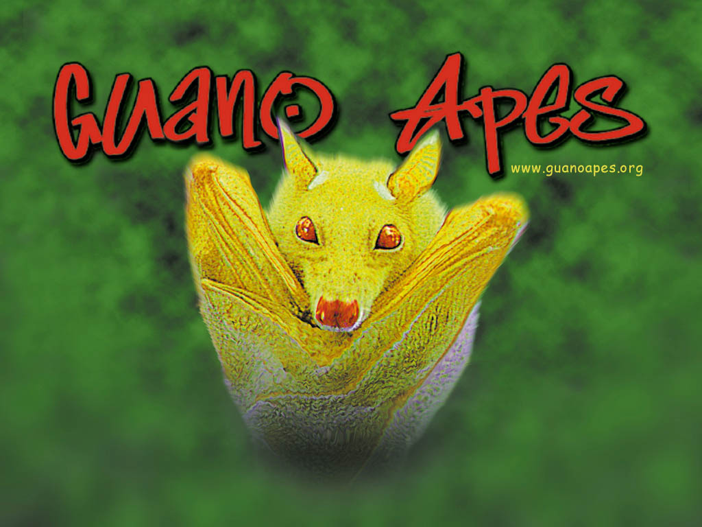 Guano Apes. free wallpaper, music wallpaper, desktop backrgounds!