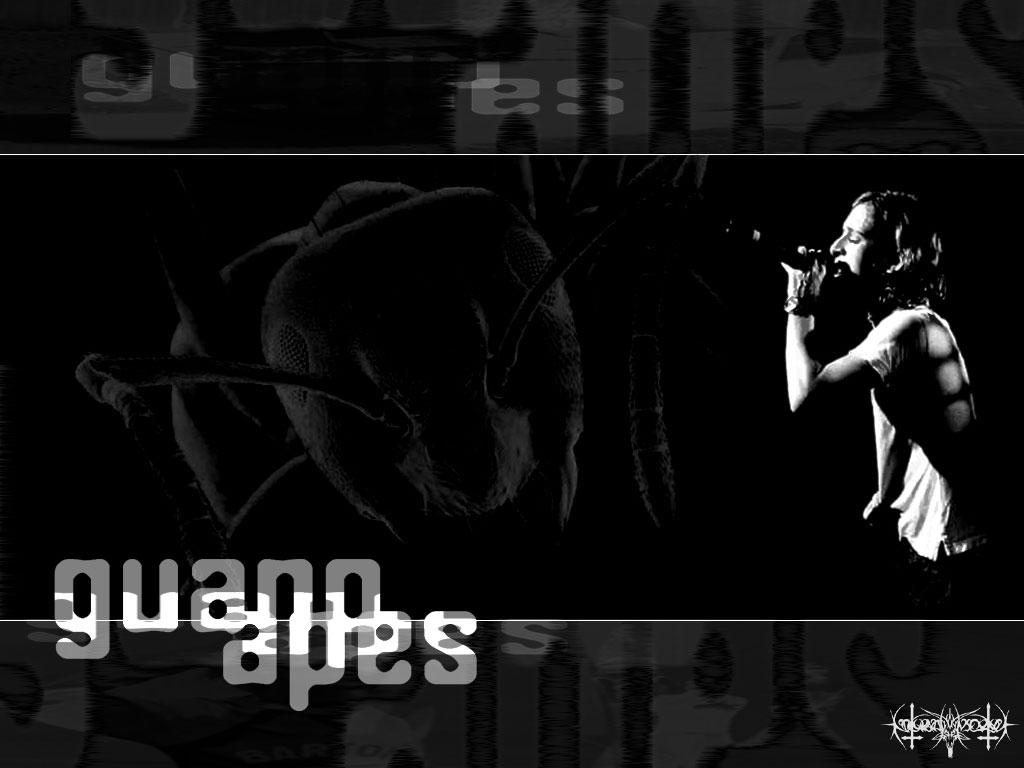 Guano Apes 4. free wallpaper, music wallpaper, desktop backrgounds!