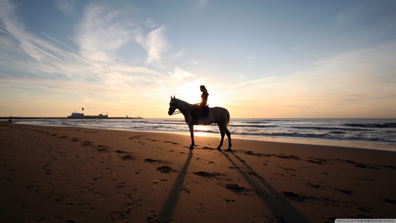 A Horse Ride On The Beach Ultra HD Desktop Background Wallpaper for 4K UHD TV, Tablet