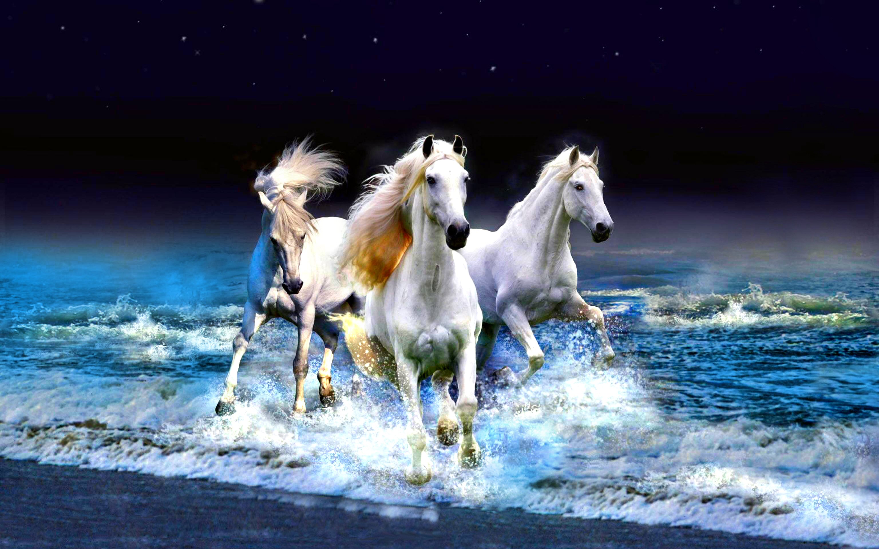 HD desktop wallpaper: Sea, Beach, Horizon, Animal, Horse download free picture
