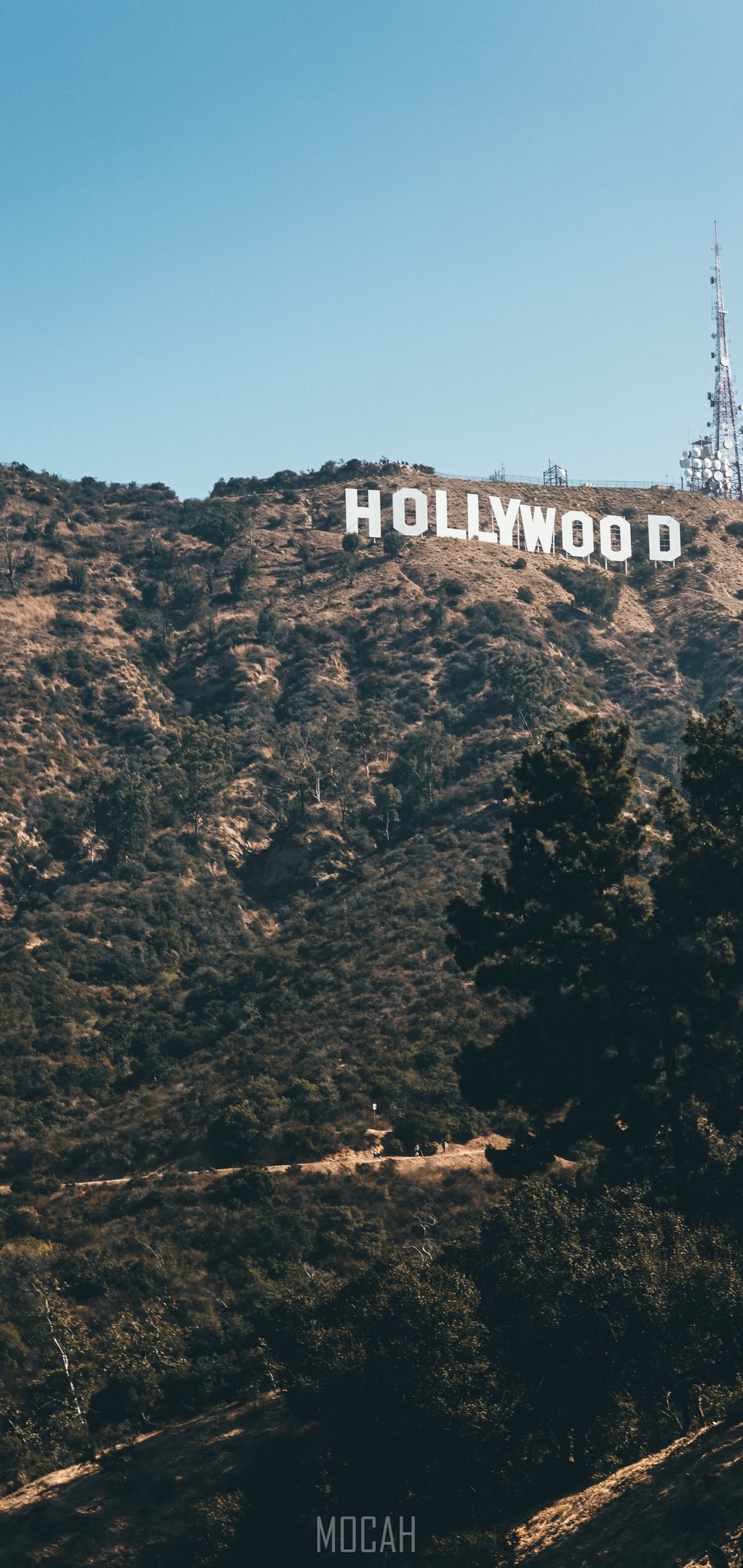 hollywood sign mountain and cliff hd, vivo Z1 wallpaper download, 1080x2280 Gallery HD Wallpaper