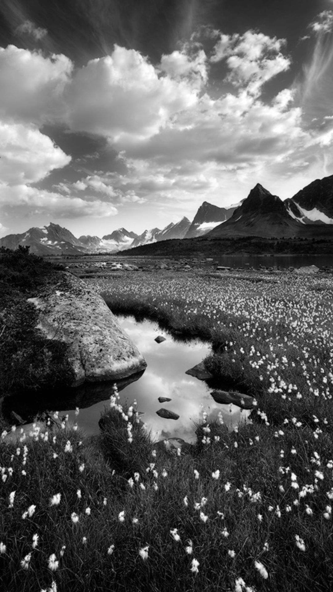 Black and White Wallpaper