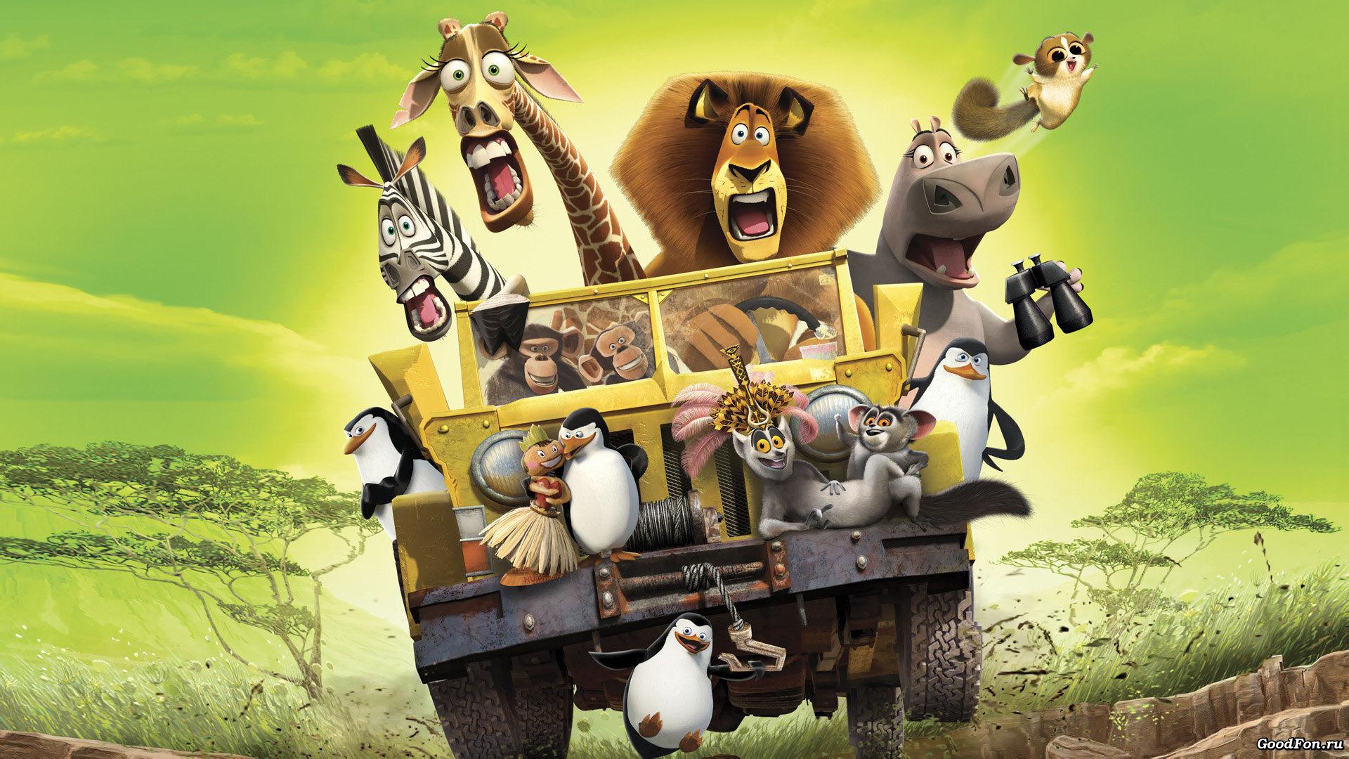 Madagascar HD wallpaper
